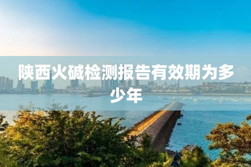 陕西火碱检测报告有效期为多少年